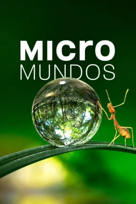 Micromundos Pelisplus